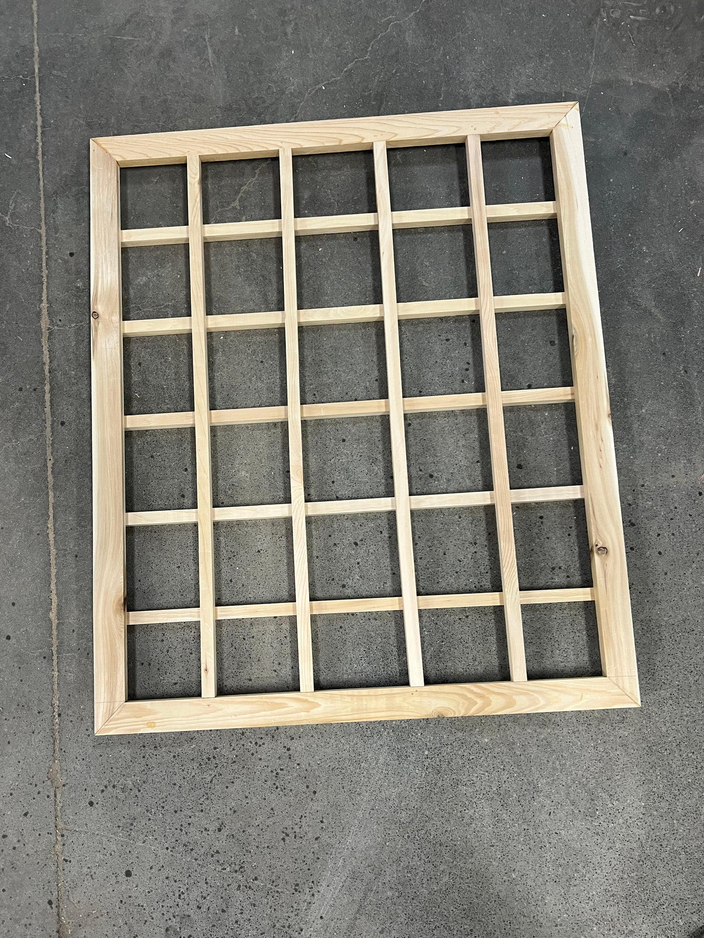 Wall Mounted Trellis