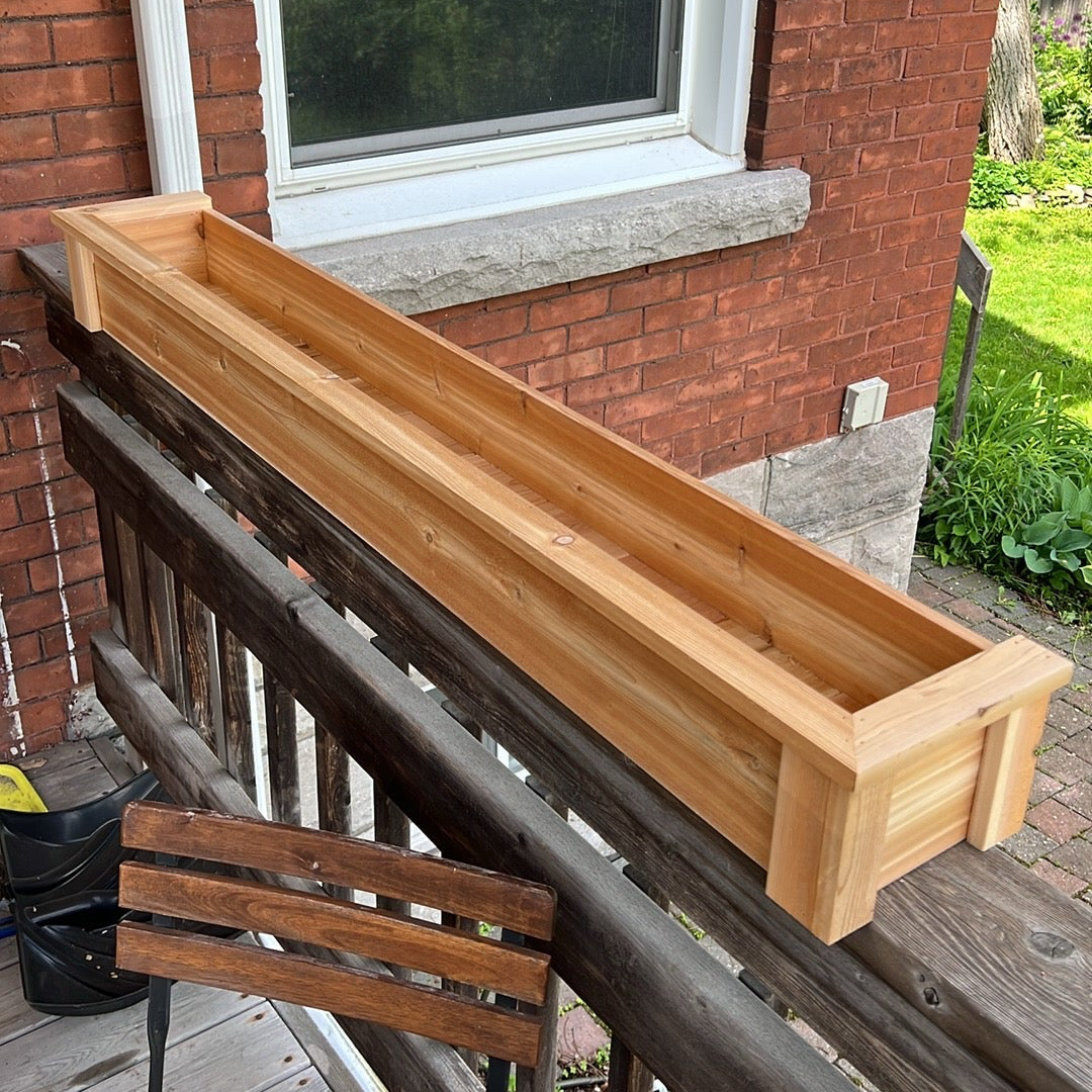 Hanging Planter