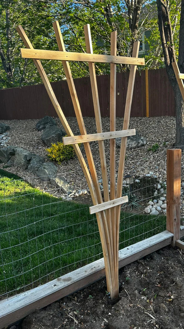 Cedar Fan Trellis