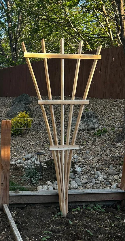 Cedar Fan Trellis